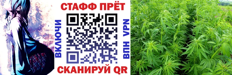 Где продают наркотики Ленинск-Кузнецкий Канабис  АМФЕТАМИН  Мефедрон 