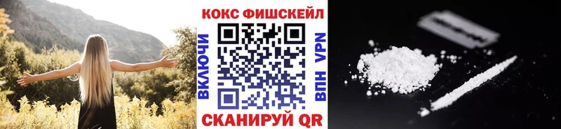 OMG дарнет шоп Ленинск-Кузнецкий Cocaine Fish Scale